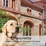 Hexenburgbeidresden Maisonette Ueber 2 Etagen Mit 4 Schlafzimmern, Kamin, Terrasse Und Fasssauna, Naehe Saechsische Schweiz Dresden Grossharthau