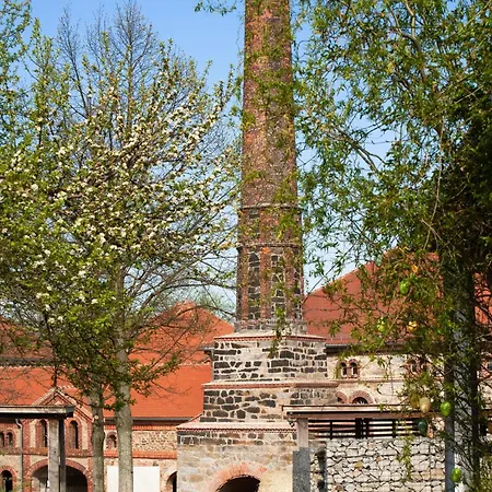 Maisonettewohnung Mit Sauna, Fuer 2-10 Personen, Naehe Saechsische Schweiz, Dresden Apartment Grossharthau