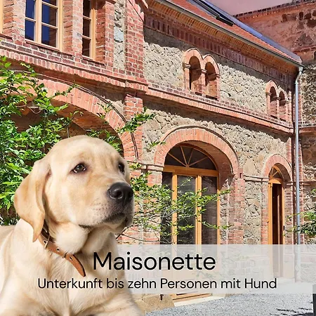 Maisonette-wohnung Mit Kamin Im Historischen Gewoelbe Großharthau