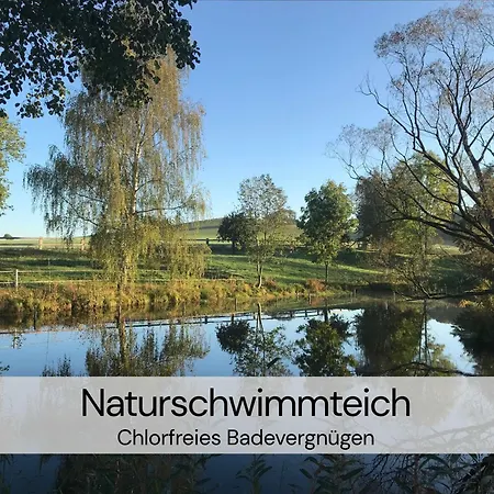 Hexenburgbeidresden Maisonette Ueber 2 Etagen Mit 4 Schlafzimmern, Kamin, Terrasse Und Fasssauna, Naehe Saechsische Schweiz Dresden *