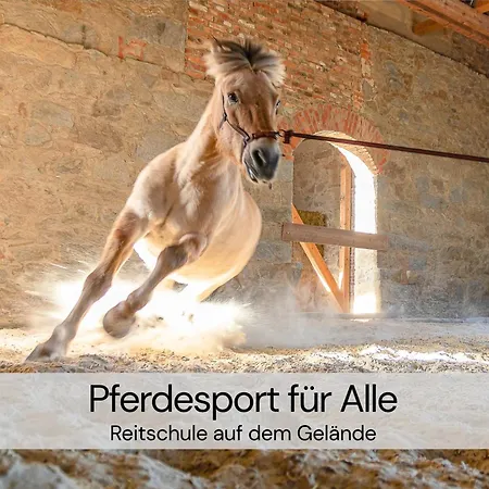 Hexenburgbeidresden Maisonette Ueber 2 Etagen Mit 4 Schlafzimmern, Kamin, Terrasse Und Fasssauna, Naehe Saechsische Schweiz Dresden