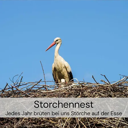 Hexenburgbeidresden Maisonette Ueber 2 Etagen Mit 4 Schlafzimmern, Kamin, Terrasse Und Fasssauna, Naehe Saechsische Schweiz Dresden דירה *