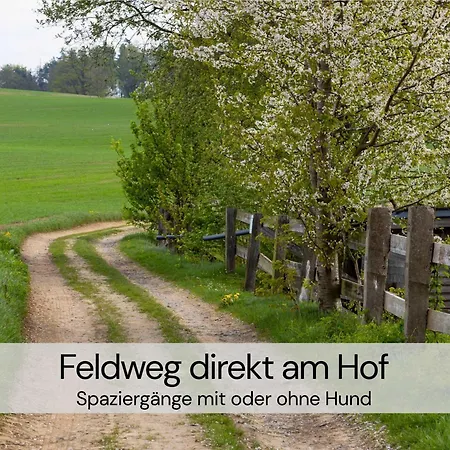 Maisonette-wohnung Mit Kamin Im Historischen Gewoelbe Großharthau