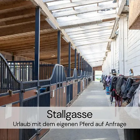 Maisonette-wohnung Mit Kamin Im Historischen Gewoelbe Großharthau