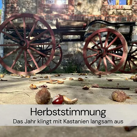 Maisonette-wohnung Mit Kamin Im Historischen Gewoelbe 公寓 Großharthau