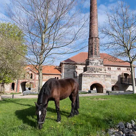 Maisonette-wohnung Mit Kamin Im Historischen Gewoelbe Großharthau
