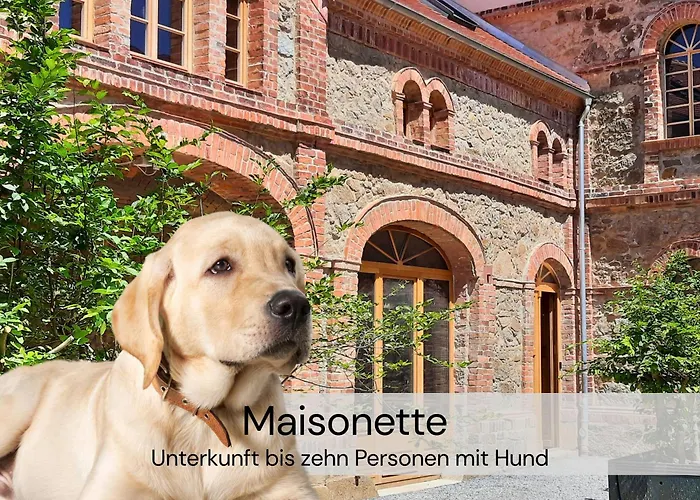 Hexenburgbeidresden Maisonette Ueber 2 Etagen Mit 4 Schlafzimmern, Kamin, Terrasse Und Fasssauna, Naehe Saechsische Schweiz Dresden Großharthau