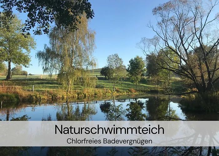 Hexenburgbeidresden Maisonette über 2 Etagen Mit 4 Schlafzimmern, Kamin, Terrasse Und Faßsauna, Nähe Sächsische Schweiz Dresden *