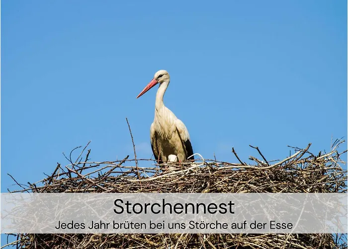 Hexenburgbeidresden Maisonette Ueber 2 Etagen Mit 4 Schlafzimmern, Kamin, Terrasse Und Fasssauna, Naehe Saechsische Schweiz Dresden Daire *