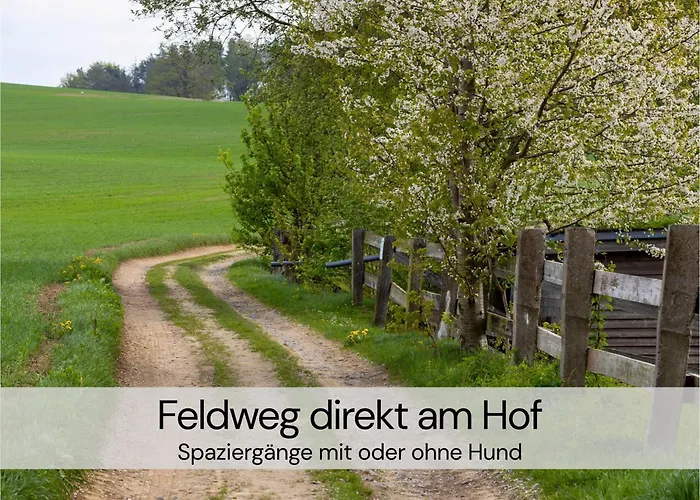 Hexenburgbeidresden Maisonette über 2 Etagen Mit 4 Schlafzimmern, Kamin, Terrasse Und Faßsauna, Nähe Sächsische Schweiz Dresden Großharthau