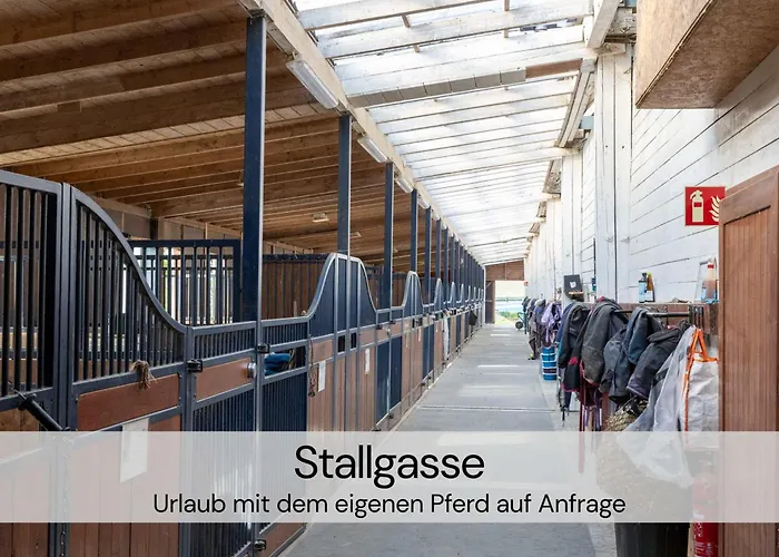 Hexenburgbeidresden Maisonette Ueber 2 Etagen Mit 4 Schlafzimmern, Kamin, Terrasse Und Fasssauna, Naehe Saechsische Schweiz Dresden Großharthau