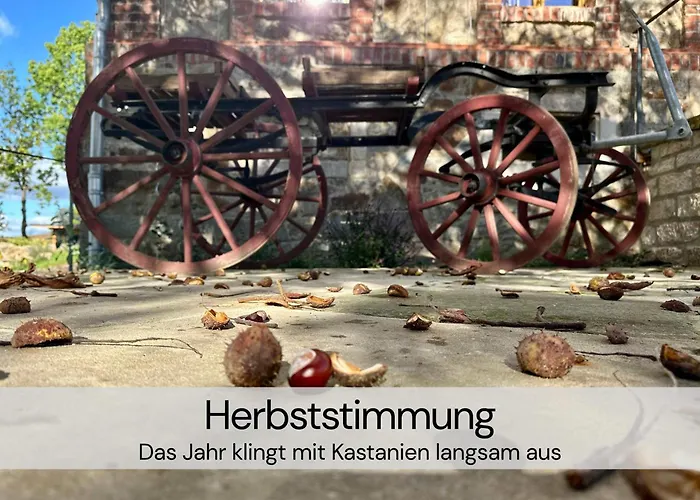 Hexenburgbeidresden Maisonette über 2 Etagen Mit 4 Schlafzimmern, Kamin, Terrasse Und Faßsauna, Nähe Sächsische Schweiz Dresden Apartment Großharthau